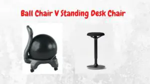 Ball Chair V Standing Desk Chair - Fully Luna standing chari and Gaiam ball